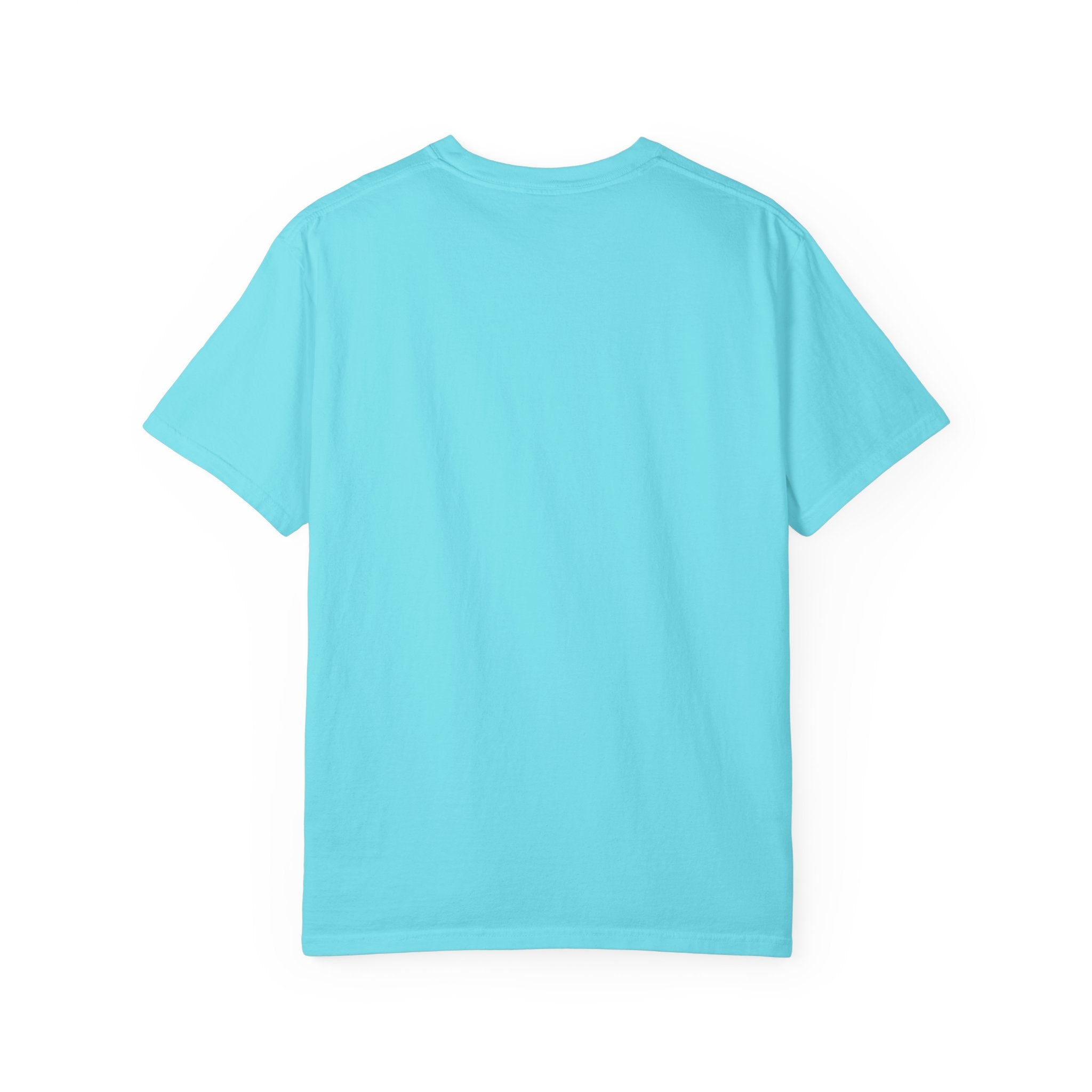 Fly As A Falcon Graphic T-Shirt | Cosmos