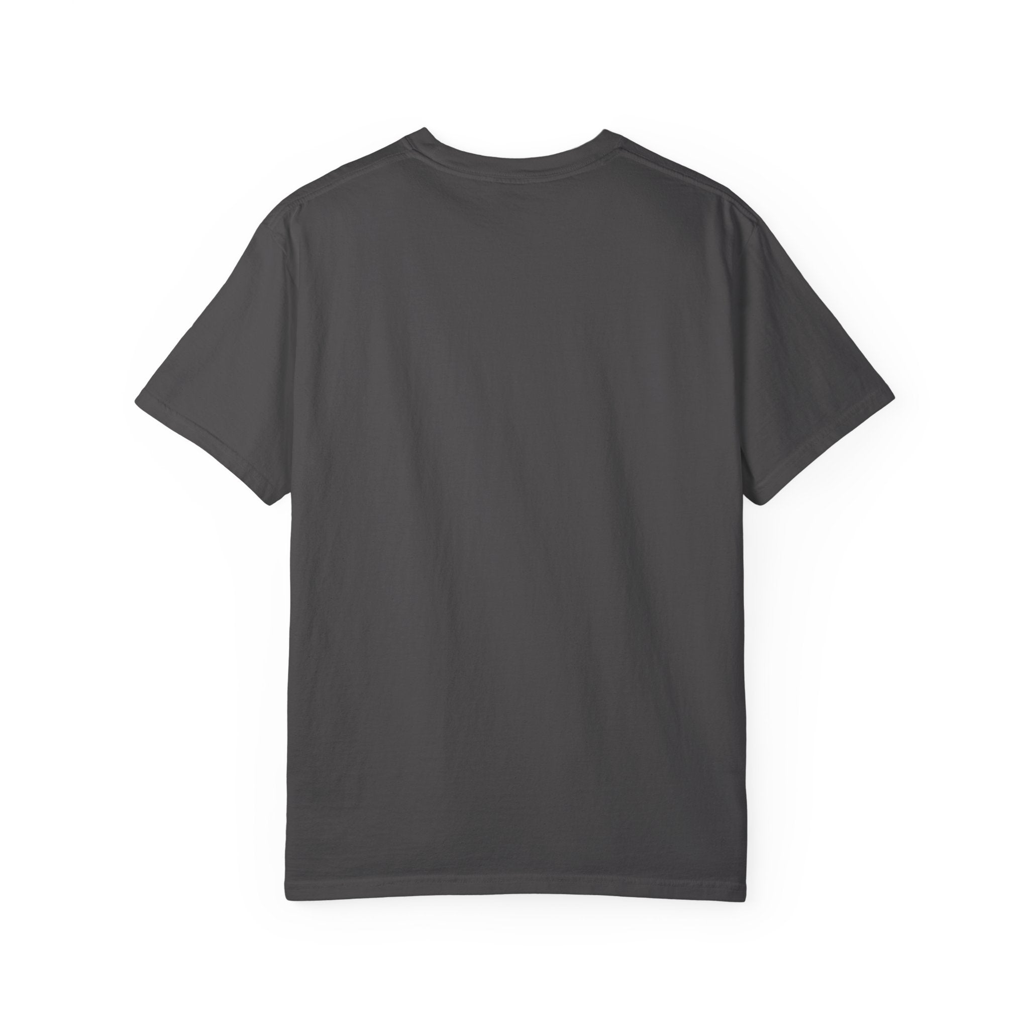 Fly As A Falcon Graphic T-Shirt | Retro 3D