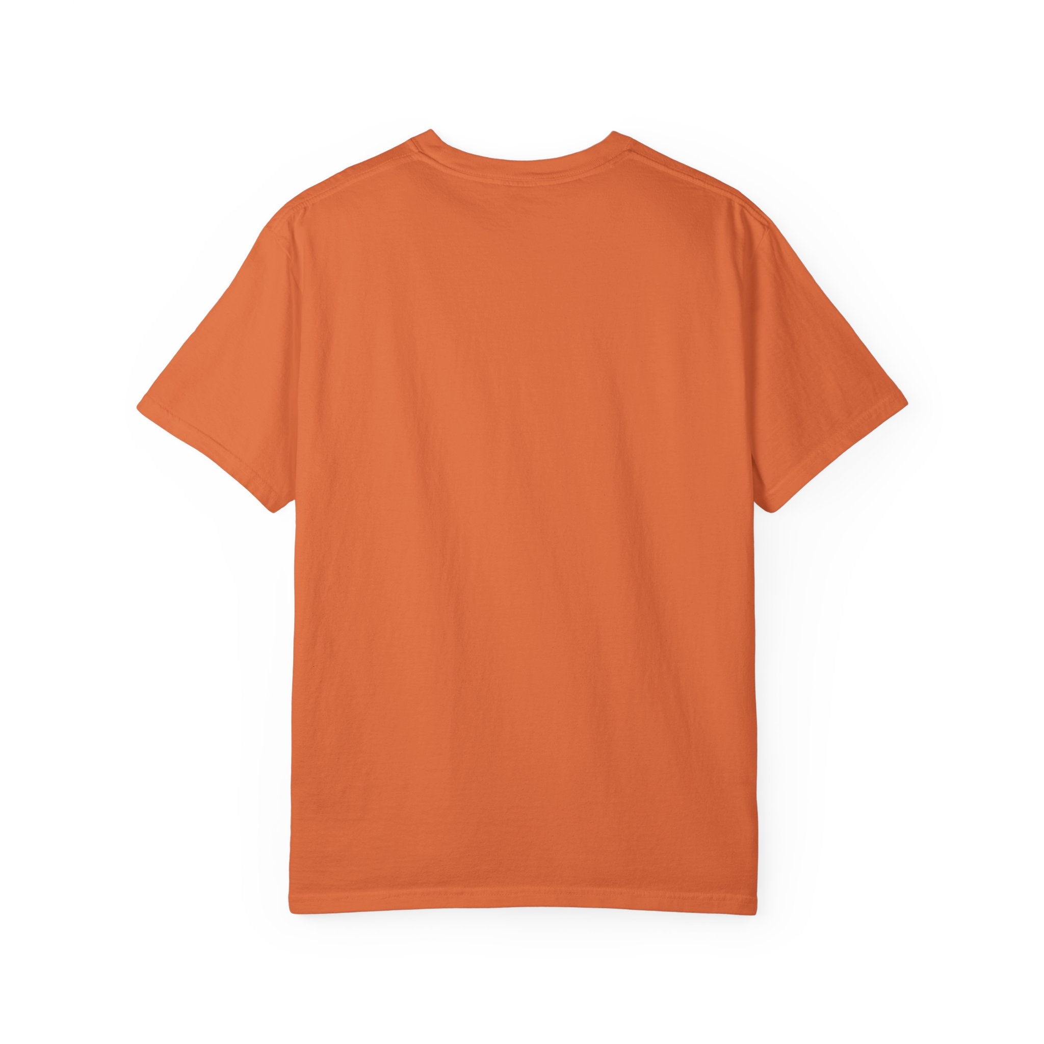 Fly As A Falcon Graphic T-Shirt | Phoenix