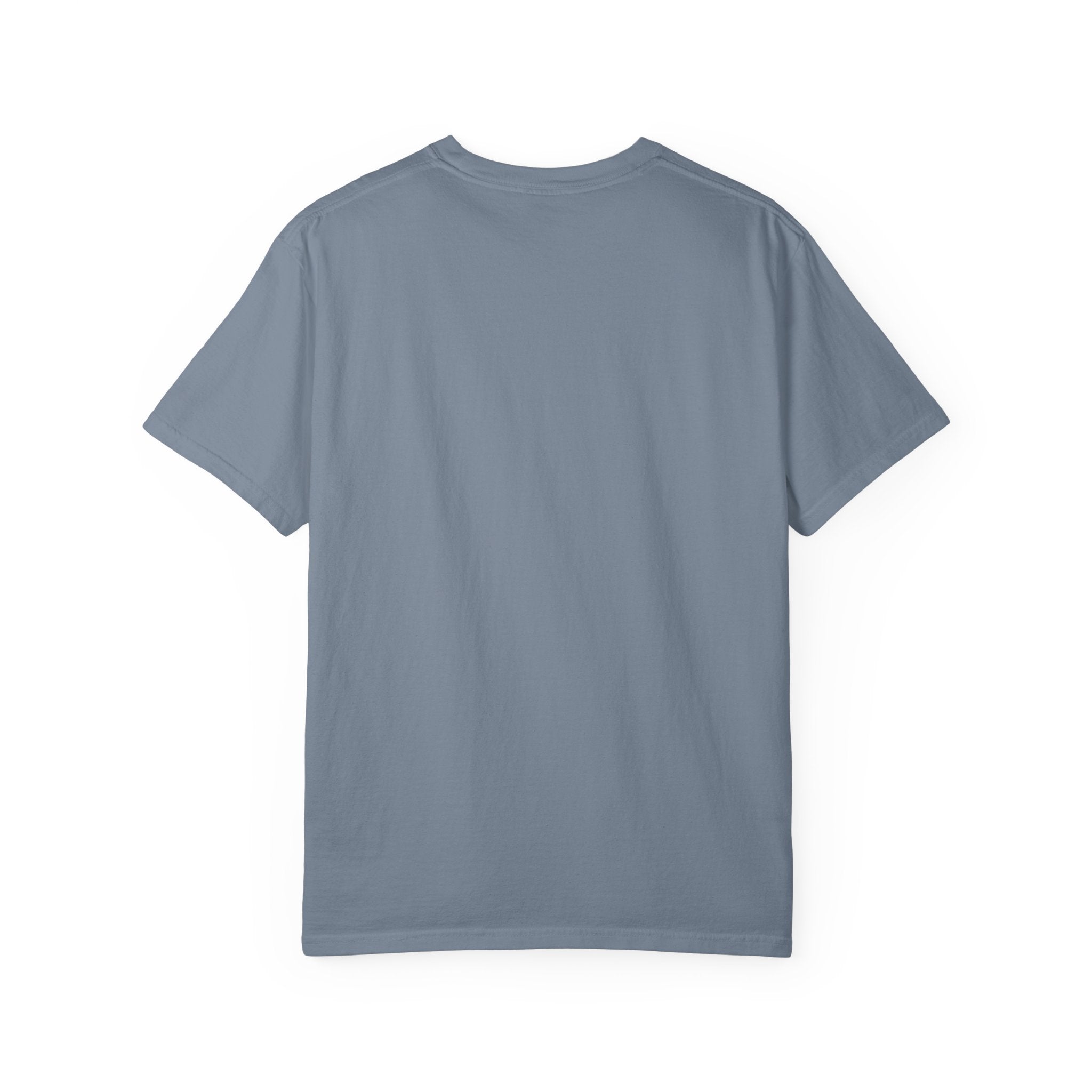 Fly As A Falcon Graphic T-Shirt | Cosmos