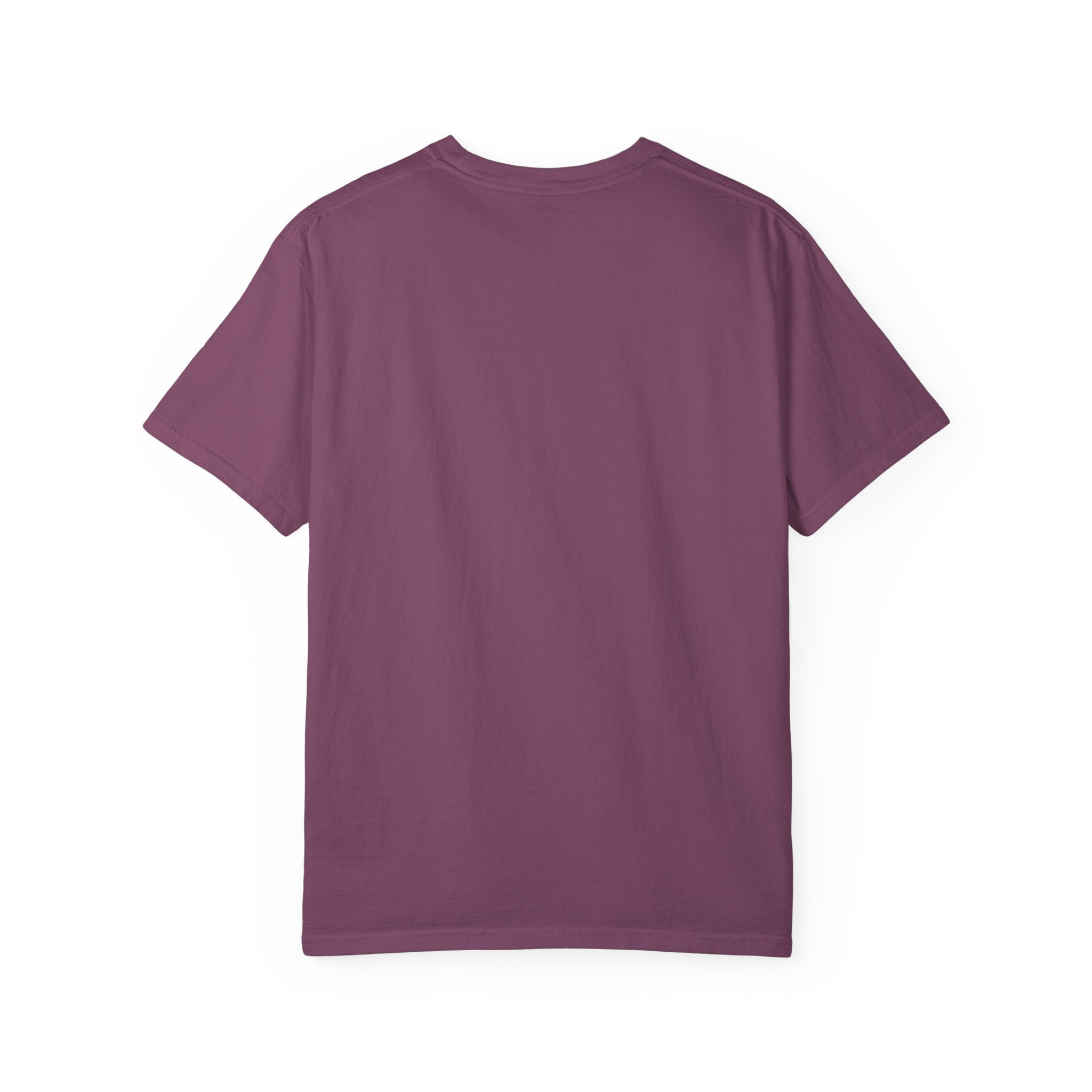 Fly As A Falcon Graphic T-Shirt | Cosmos
