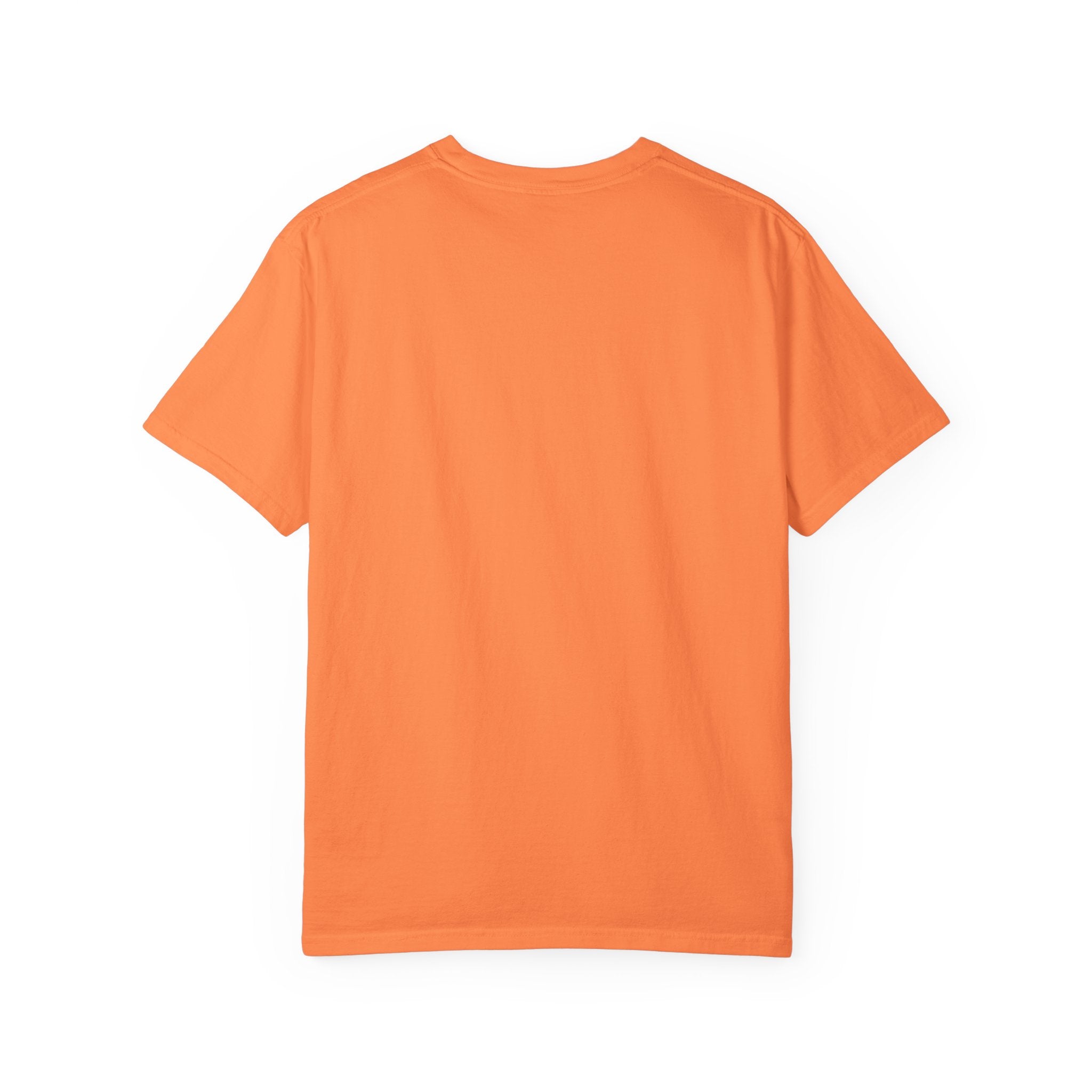 Fly As A Falcon Graphic T-Shirt | Phoenix