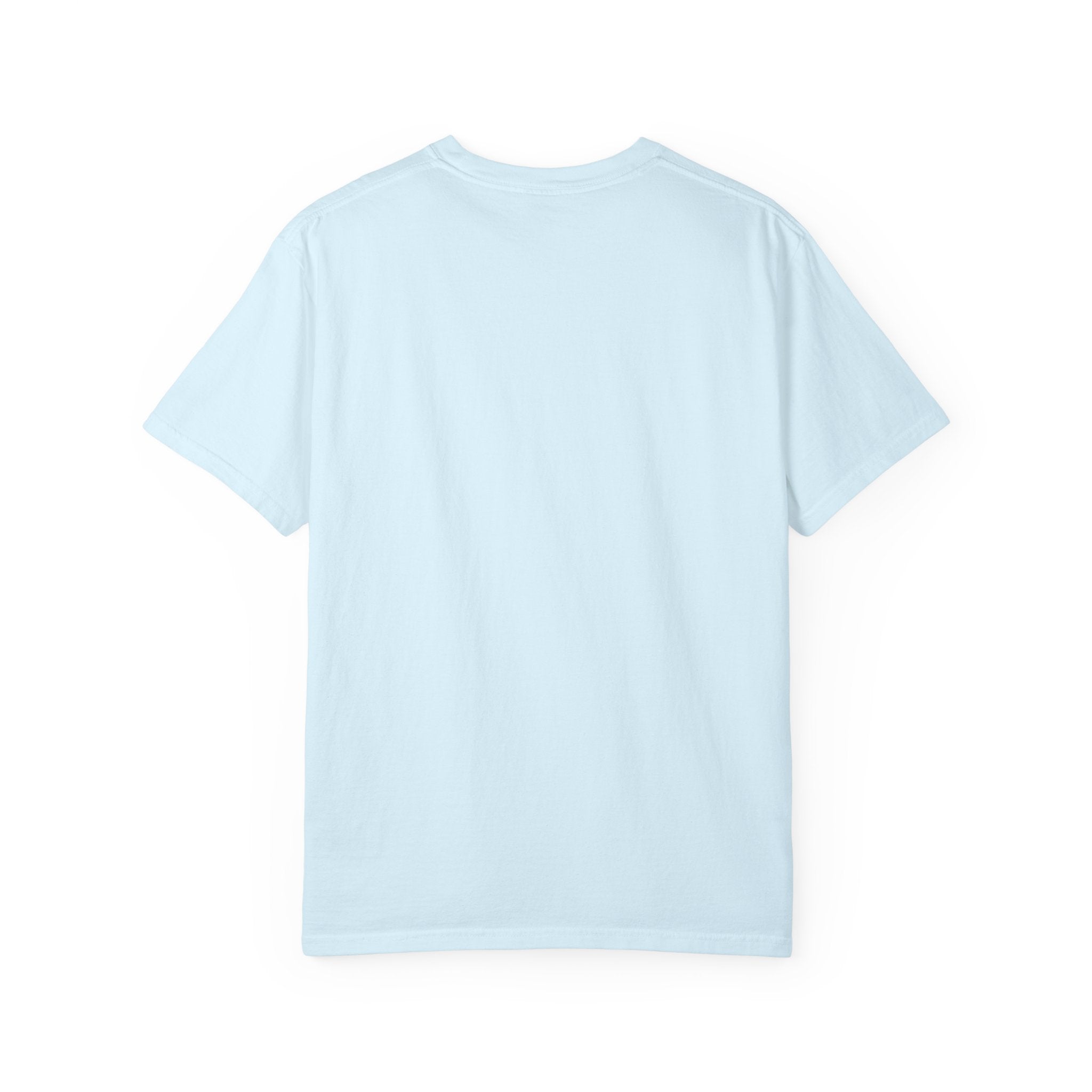 Fly As A Falcon Graphic T-Shirt | Cosmos