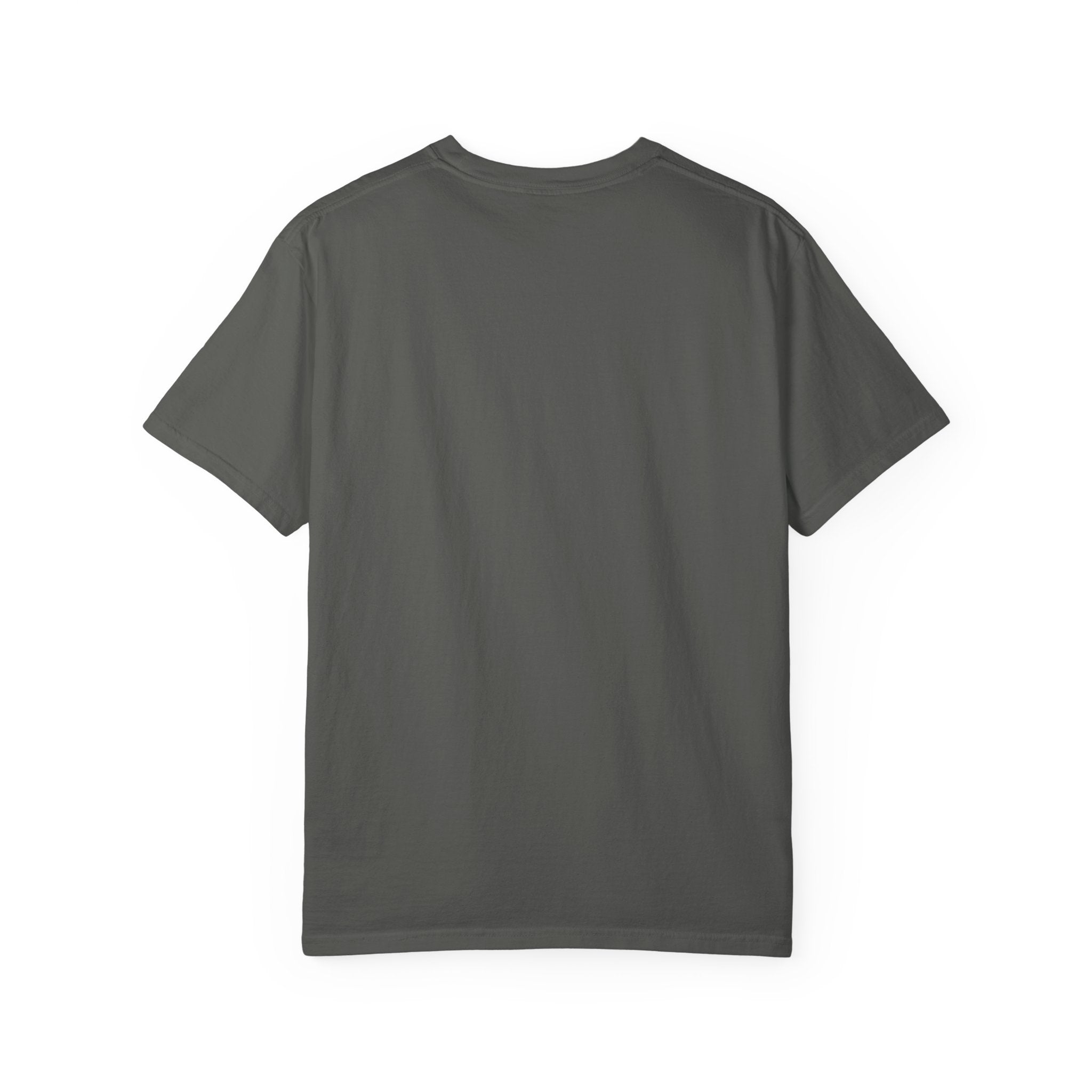 Fly As A Falcon Graphic T-Shirt | Cosmos