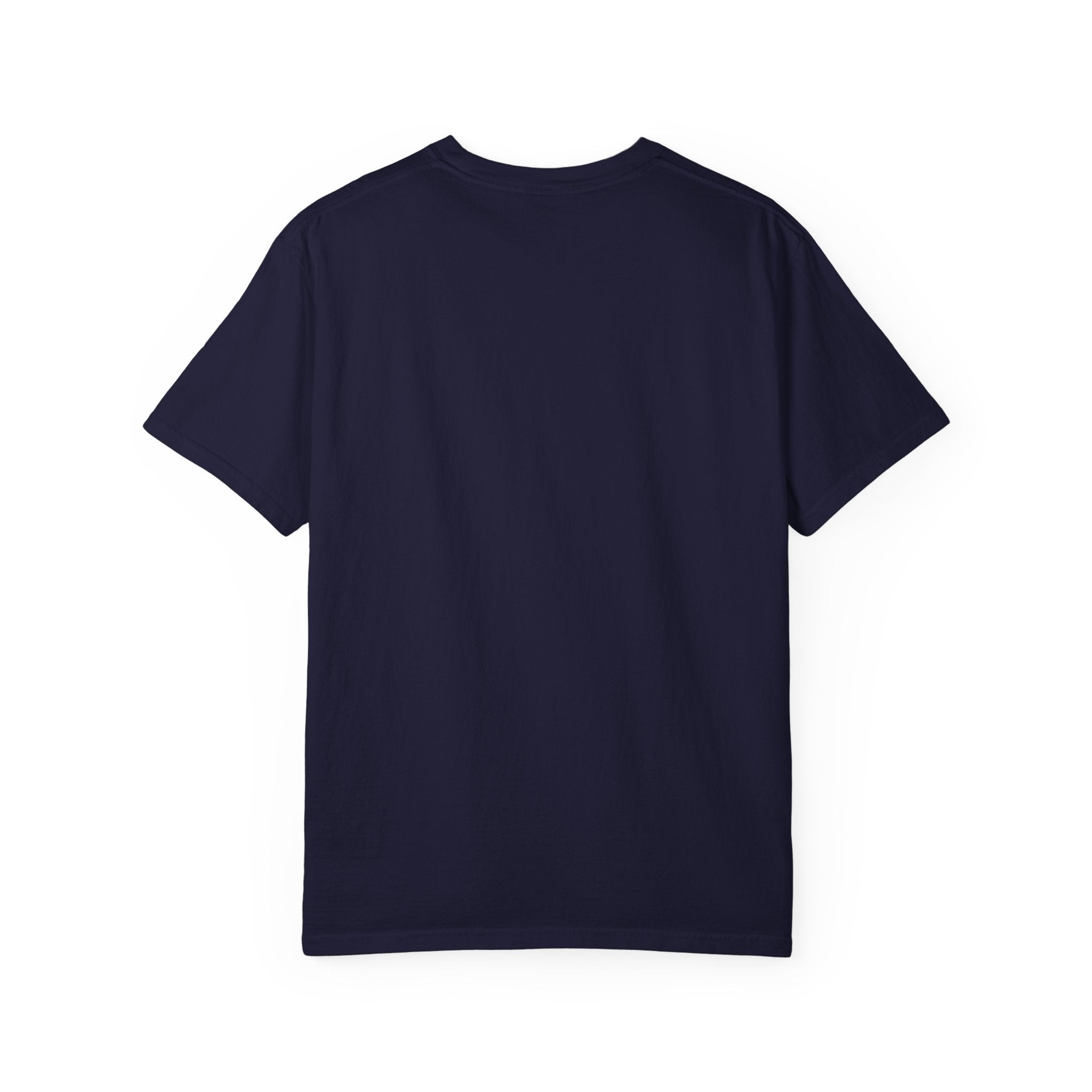 Fly As A Falcon Graphic T-Shirt | Phoenix