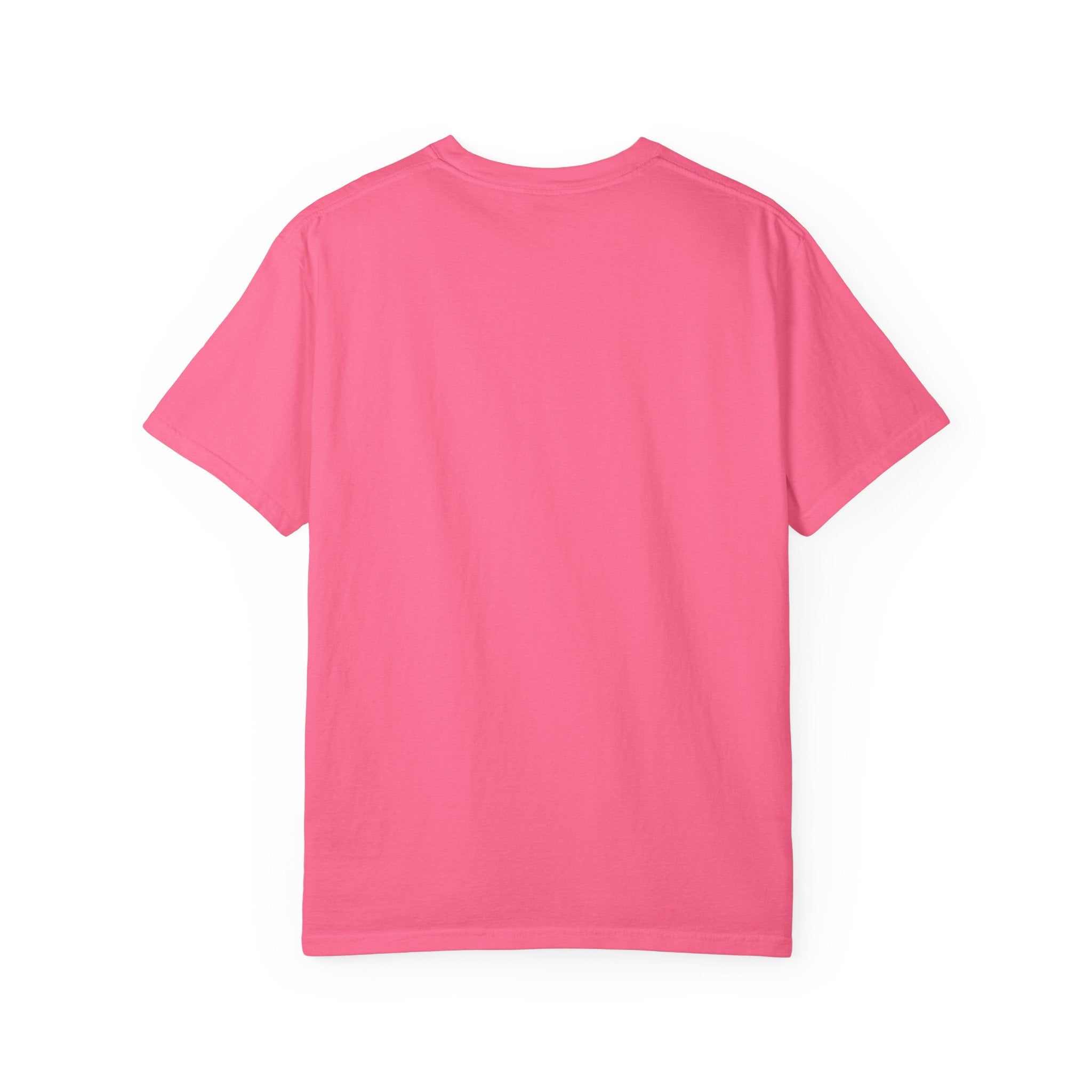 Fly As A Falcon Athletic Logo T-Shirt | Ocean Set